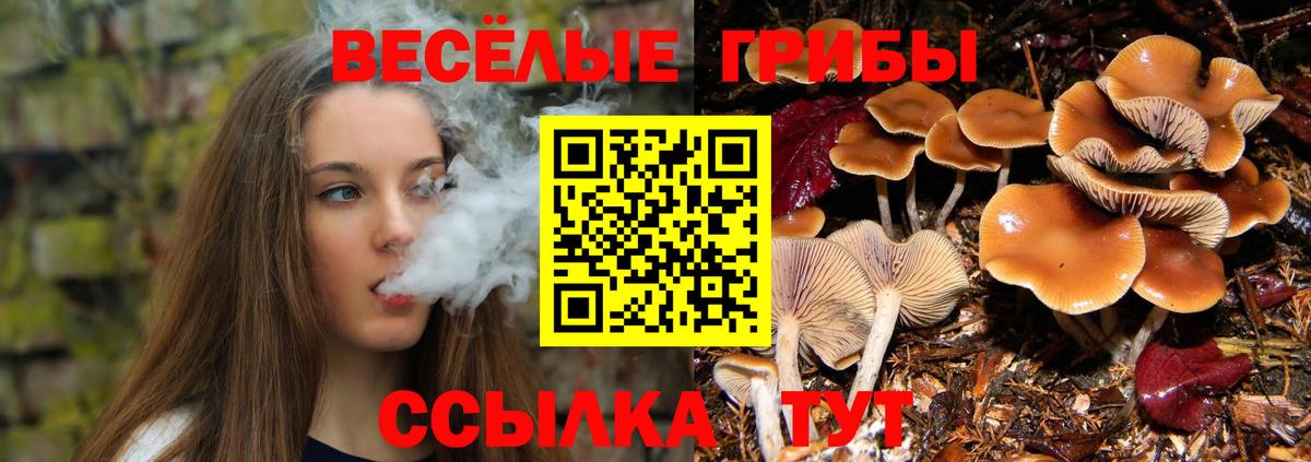Галлюциногенные грибы MAGIC MUSHROOMS  Вход с VPN  Валуйки 